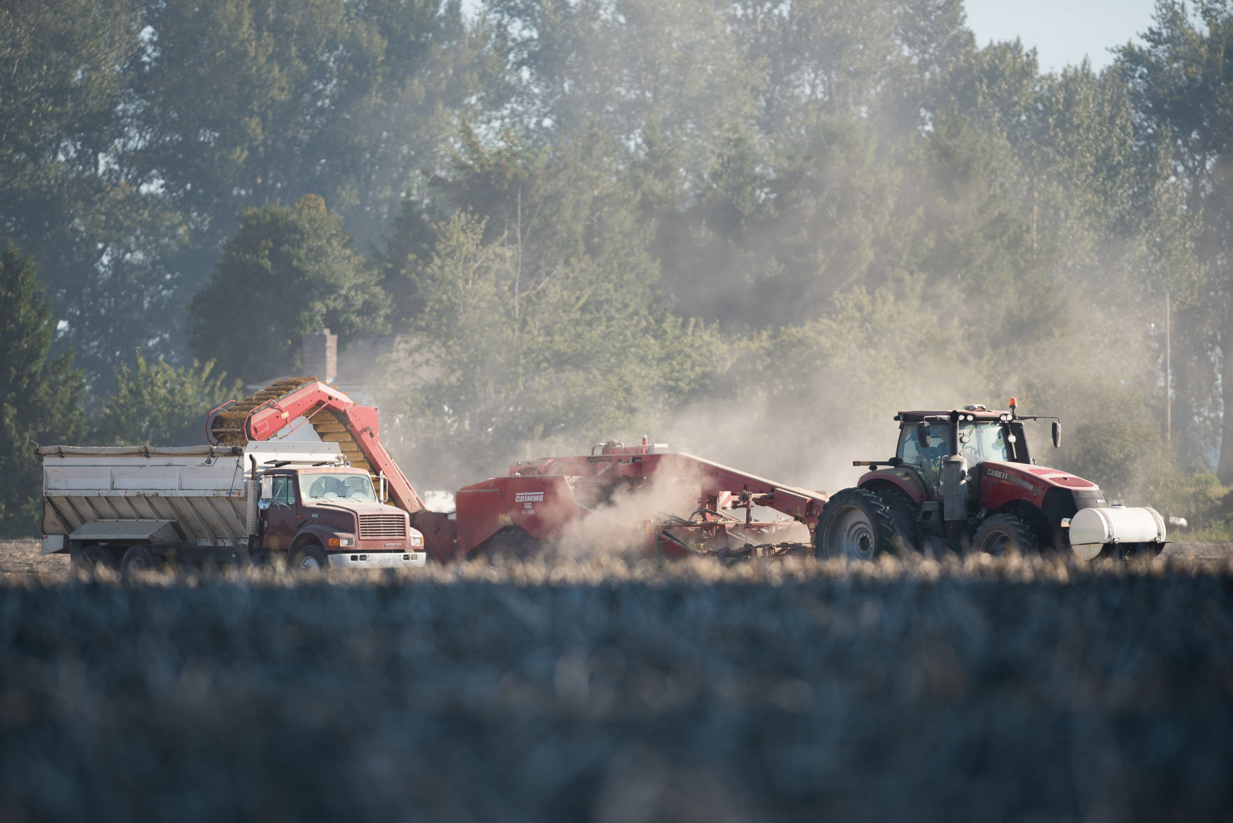 Potato Harvest 01